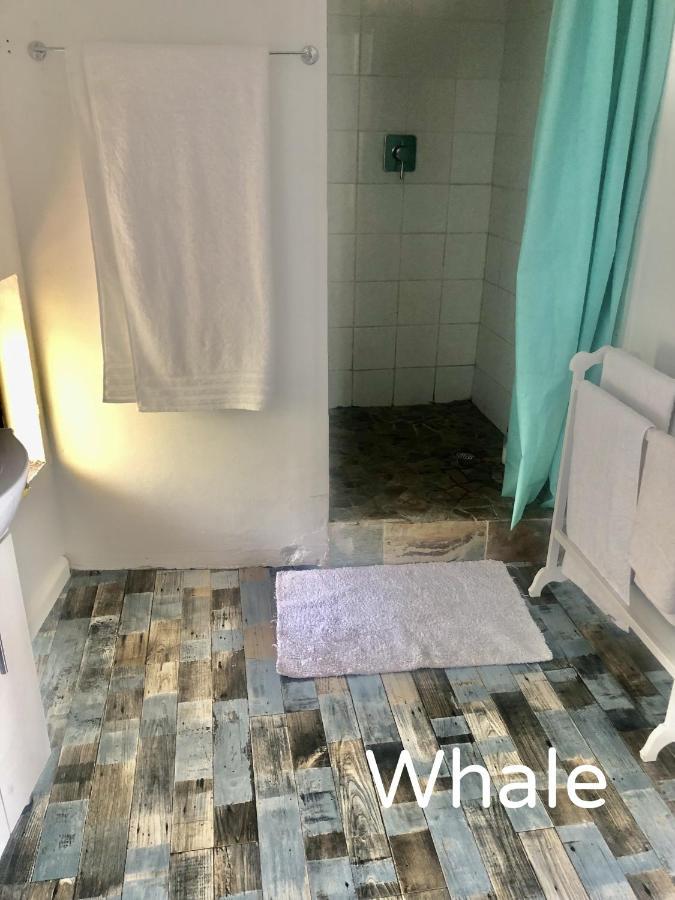 Ollava Guesthouse Simon's Town Bagian luar foto