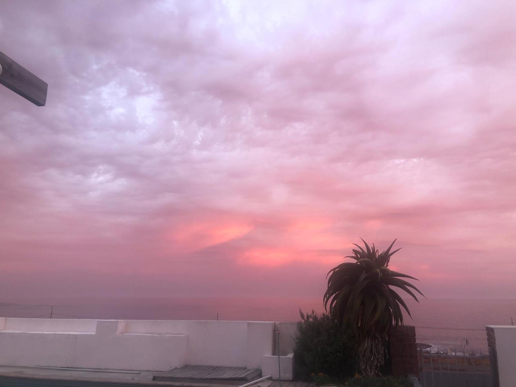 Ollava Guesthouse Simon's Town Bagian luar foto