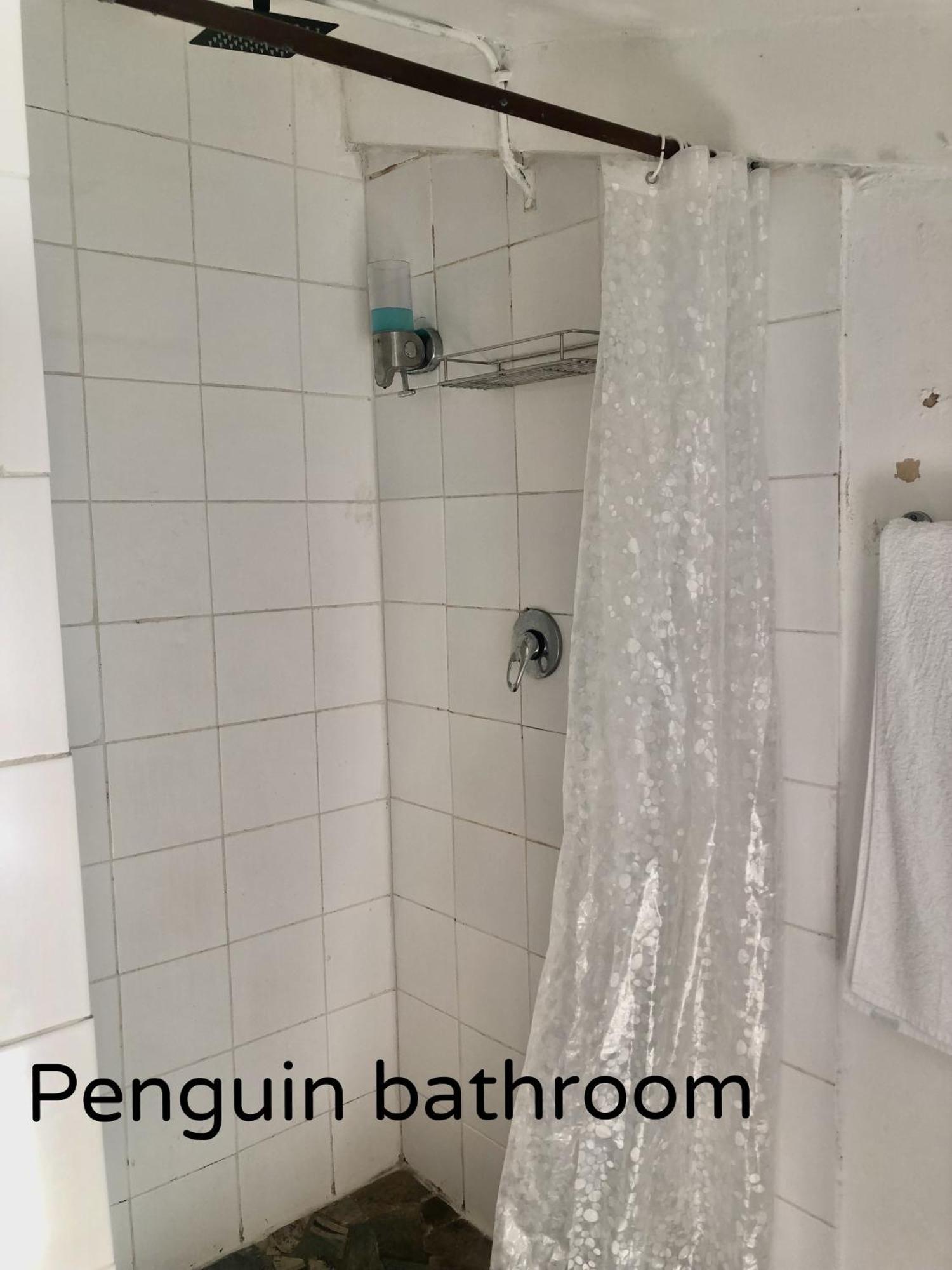 Ollava Guesthouse Simon's Town Bagian luar foto