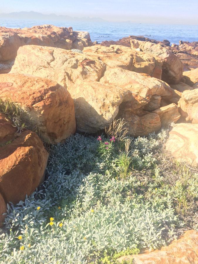 Ollava Guesthouse Simon's Town Bagian luar foto